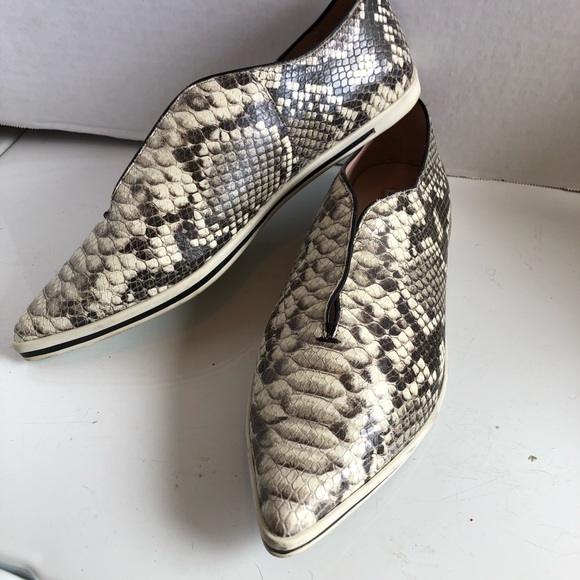 James chan pointy toe slip on Python sneakers - Picture 1 of 15
